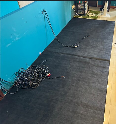 Back Carpets