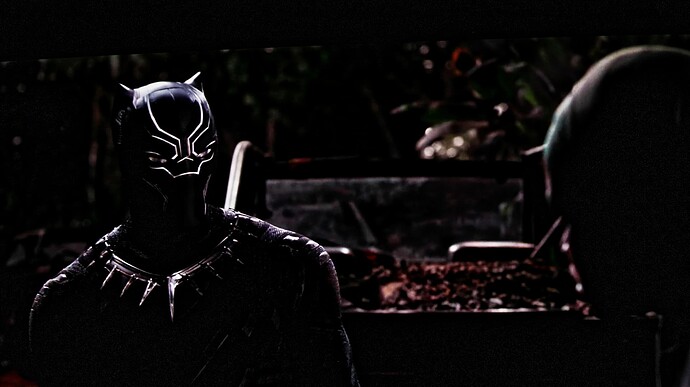 black_panther_dark_scene_exposed4_ds