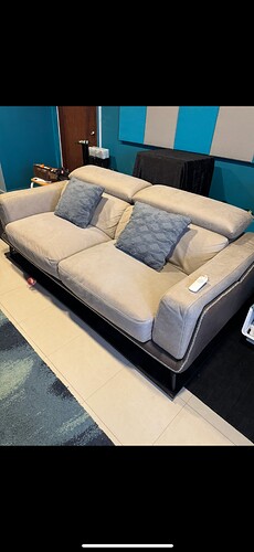 HoverEZE sofa.PNG